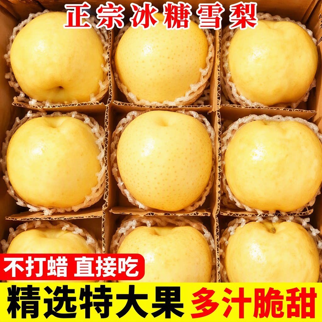 旗舰店正宗冰糖雪梨特大果不打蜡直接吃脆嫩多汁新鲜当季整箱送礼