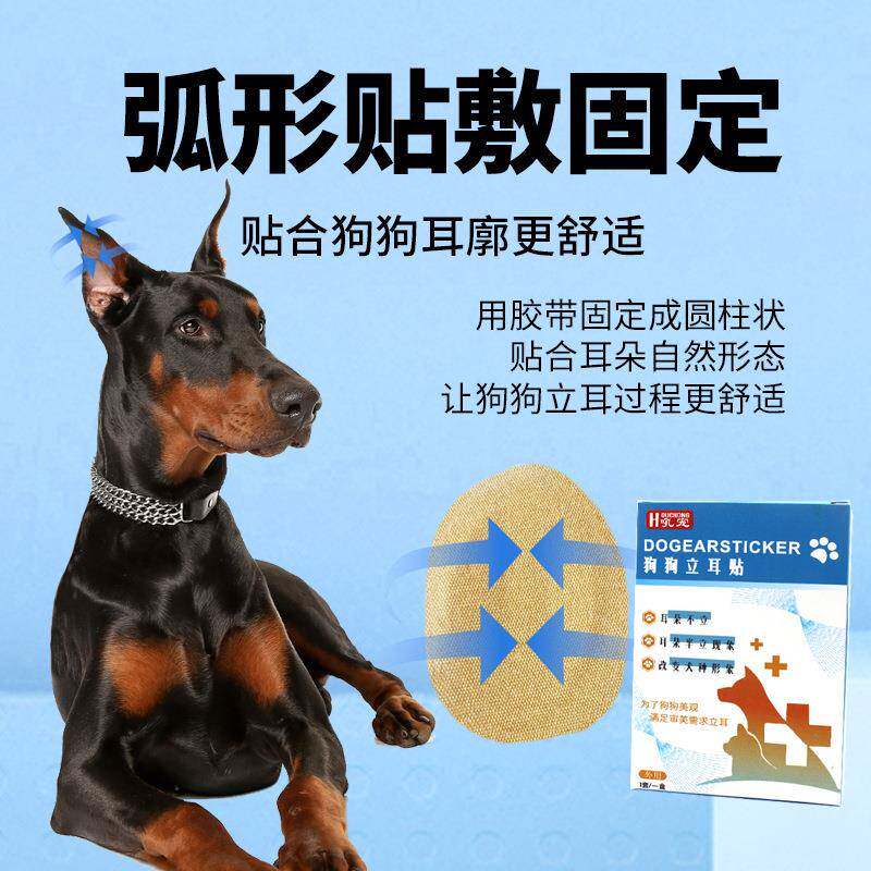 新款直销柴犬狗狗立耳贴宠物立耳辅助器西高地杜宾犬德牧柯基耳朵