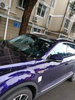 强生汽车贴膜用后一个月求助!不看后悔!