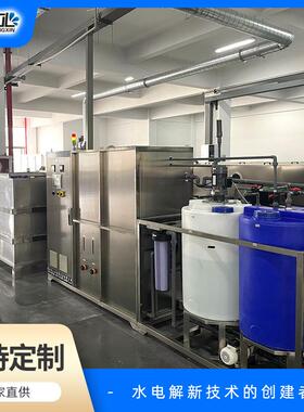 强碱性电解水设备超碱水设备碱性离子水设备工业清洗去油污pH可调