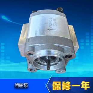 3.2动力单元 液压汽车尾板油泵升降齿轮泵CBQZ 2.5 2.1 油泵 F1.7