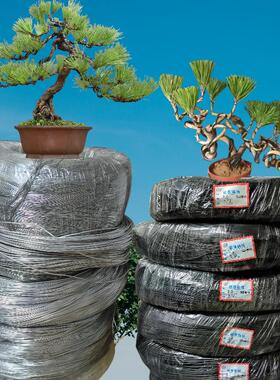 现货黑色金属丝树枝造型盆景园艺铝丝植物造型捆绑塑形原色纯铝线