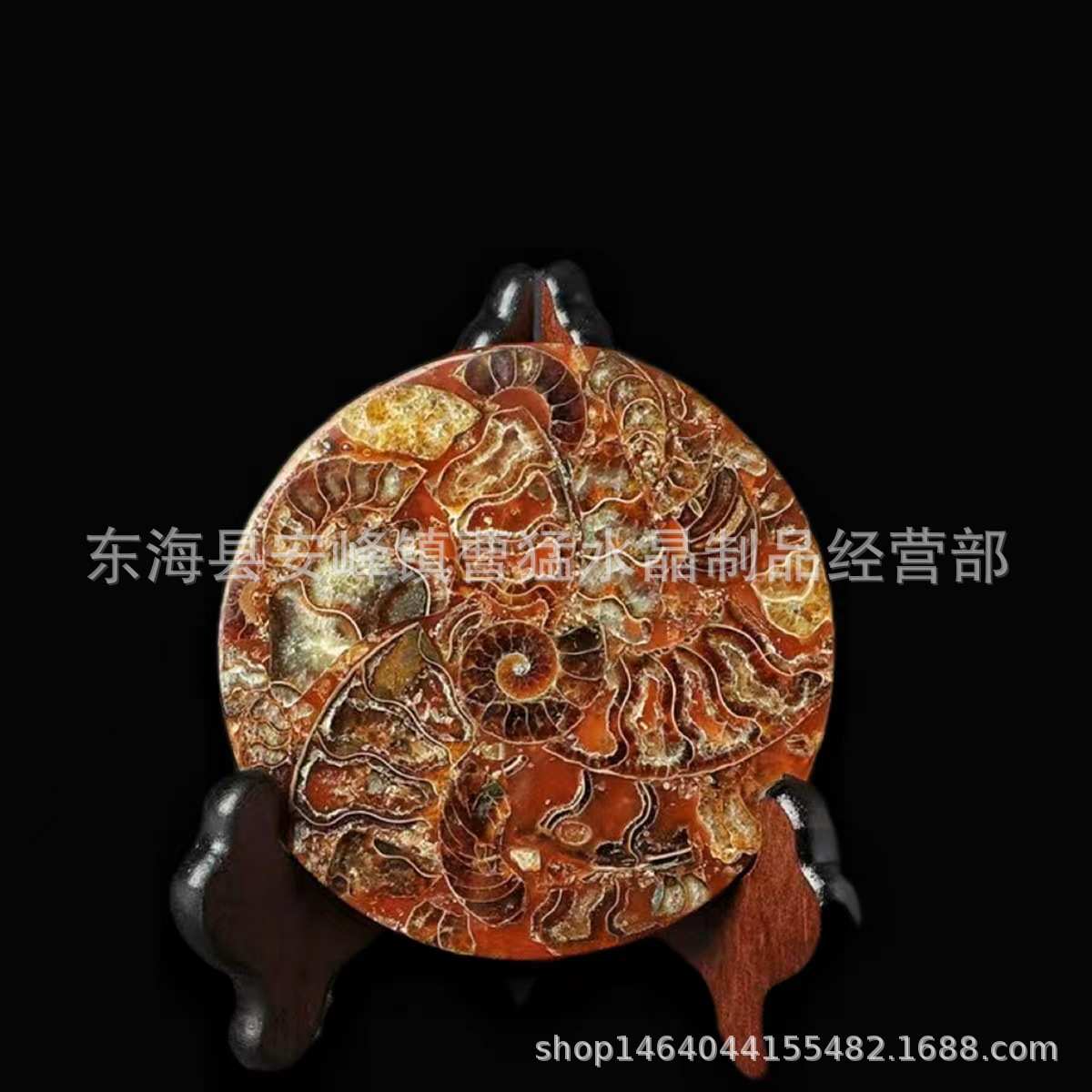 马达加斯加海螺化石菊石拼接螺古生物化石螺盘摆件 矿物标本家居