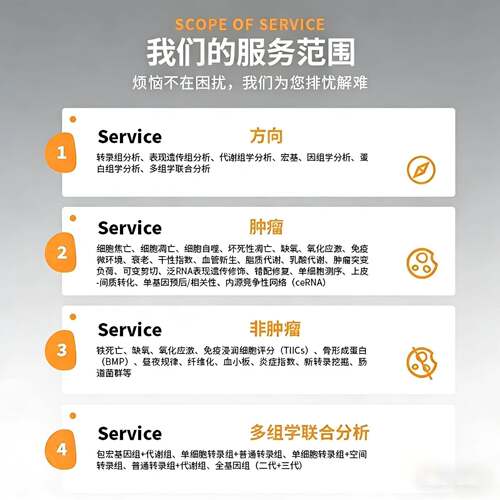 网路药理学分子对接代做VASP代算性原理计算服务