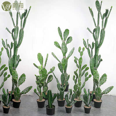 仿真扁仙人掌仙人柱盆栽组合造景装饰拍摄道具批发厂家摄影道具
