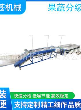 新款圣女果分级机加大提升斗不耗电用于百香果砂糖橘等小果