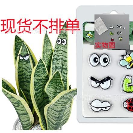 亚马逊新品Plant magnet gift可爱植物叶装饰植物磁铁眼睛工艺品