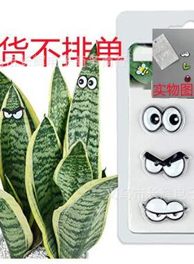 亚马逊新品Plant magnet gift可爱植物叶装饰植物磁铁眼睛工艺品