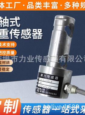 CLF-H6E2销轴式称重传感器建筑工程起重机称重传感器传力轴销式
