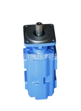 大排量高压双联齿轮油泵 厂家供应JHP双联泵 JHP2063/2050