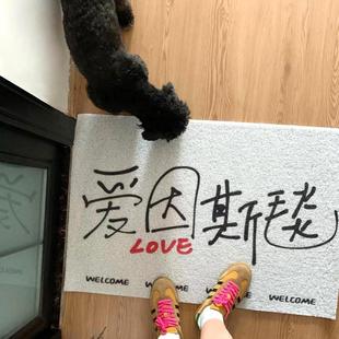 入户门地垫防滑进门口蹭土脚垫家用pvc室内丝圈门垫创意玄关地毯