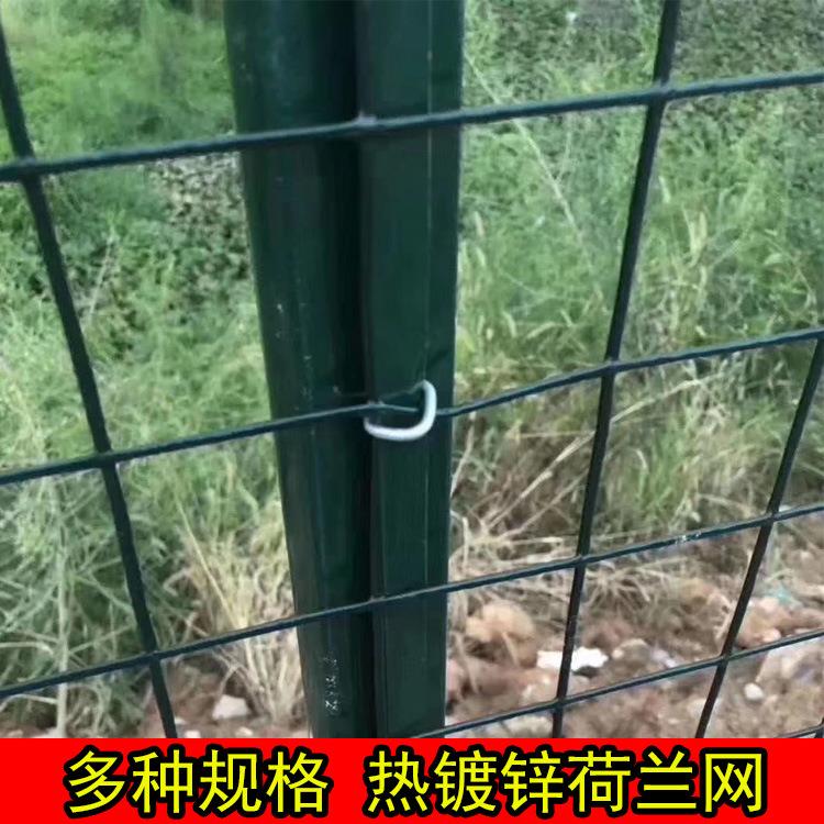 养鸡围栏养殖荷兰网果园铁丝网防护网防锈栏网铁丝网围栏果园围网
