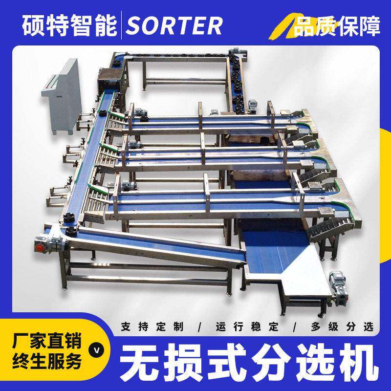 哈蜜瓜无损水果分选机蜜桃自由果托分拣机菠萝呵护式选果机