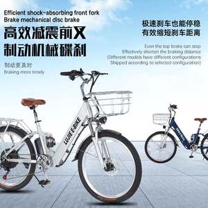 路捷锂电电动自行车成人轻便镁合金男女代步车助力车自行车海外代