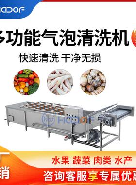 桑葚鼓泡清洗机商用果蔬喷淋式清洗设备蓝莓多功能气泡清洗产线
