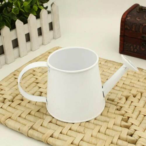 Watering Can Mini Kettle Kids Pot Garden Metal Water Model F