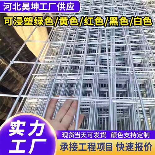 镀锌铁丝电焊网片小孔养殖围栏钢丝网养鸡狗笼加粗建筑铁网片
