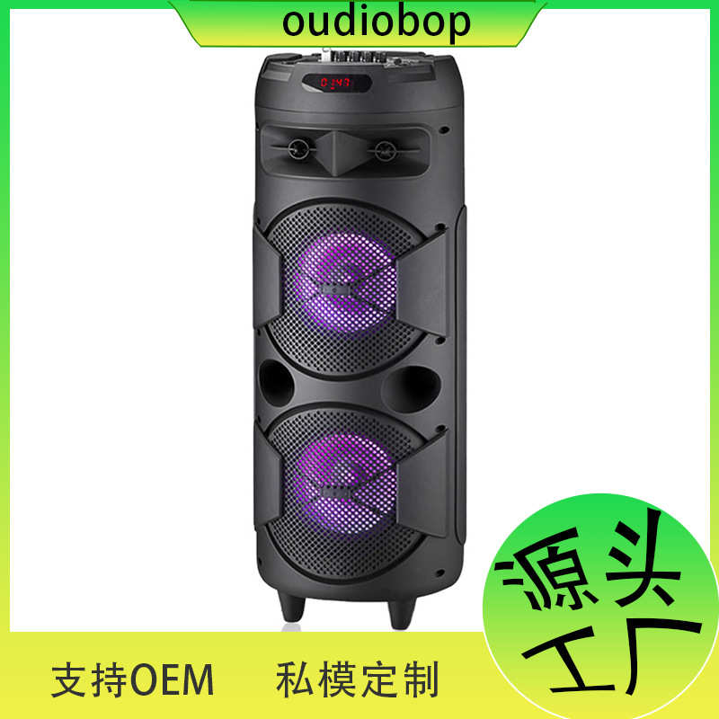 BK-8802双八寸40W喇叭蓝牙音家用家庭ktv带麦克风K歌音响低音炮