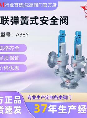 特种设备许可证A38Y双联弹簧式安全阀式法兰DN5065泄压阀
