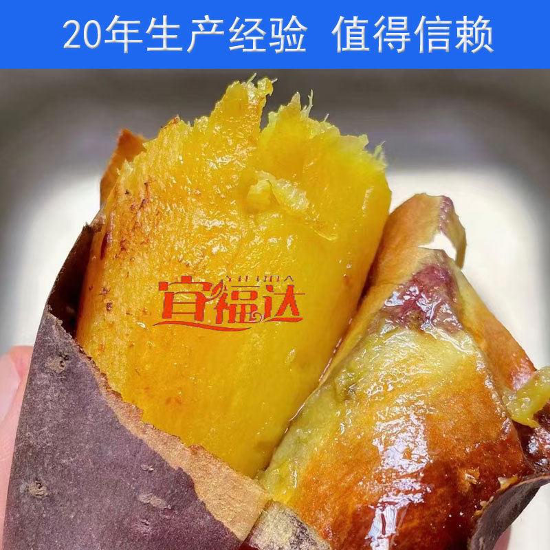 电加热连续红薯烘烤机烤红薯线蜜