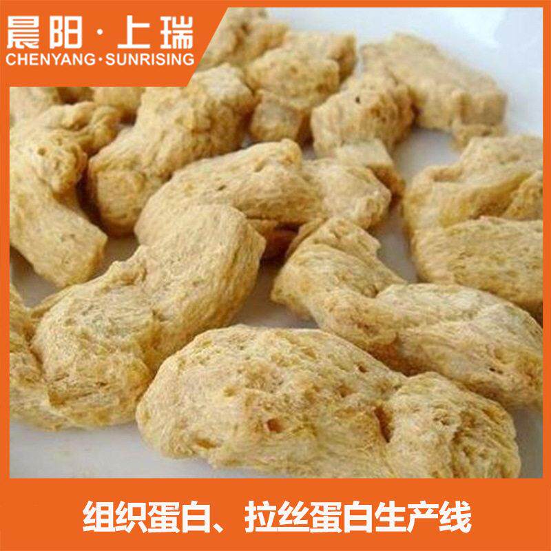 组织蛋白、拉丝蛋白球生产线设备 植物人造素肉整套生产线机械
