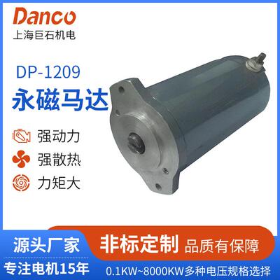 DP-1209电机系列直流永磁有刷电机ATV/UTV绞盘电机马达永磁电机