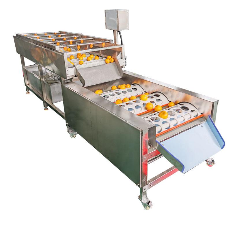 小型脐橙清洗分选果机水果清洗分选设备小型柑橘选果洗果一体机