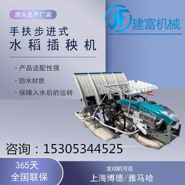 插秧机 步进式手扶水稻插秧机全自动汽油电启动栽苗育苗用水田