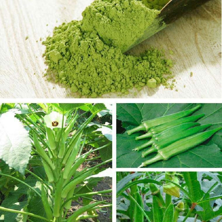 厂家直供黄秋葵粉脱水蔬菜粉冻干果蔬粉食品级品质保证散装