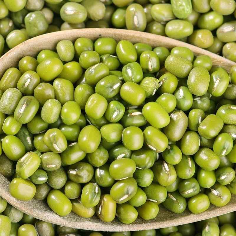 【新鲜农家绿豆】杂粮小绿豆芽东北笨绿豆子汤粥包邮脱皮去皮