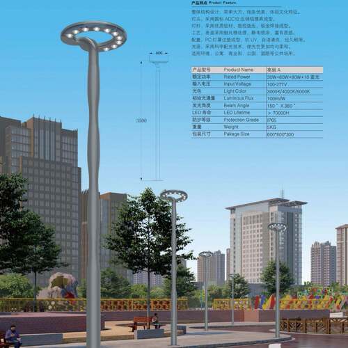 皇广HG景观灯-亮丽 A校园小区公园30W60W80W工厂生产