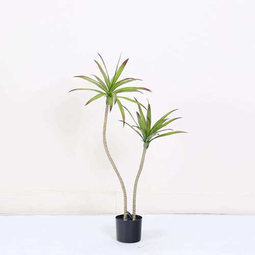 仿真绿植千年木龙舌兰假绿植室内装饰造景高级轻奢仿真植物盆栽