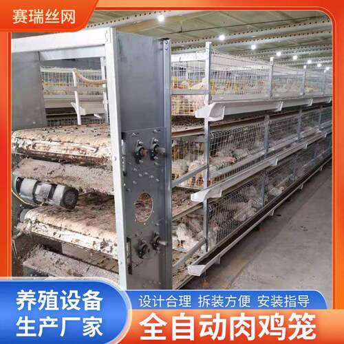 立式肉鸡笼养殖笼H型肉鸡笼养殖摇肉鸡笼镀锌雏肉鸡两用三层鸡笼