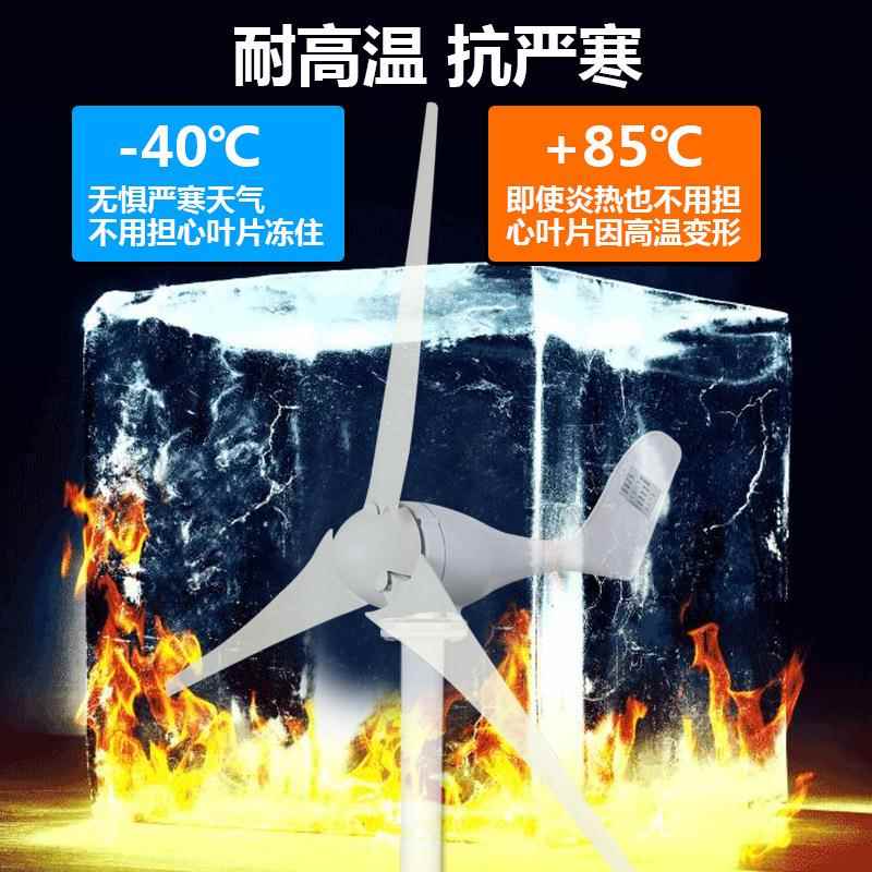风力发电机家用220V小型风能大功率12v24v永磁带风光发电丁欧