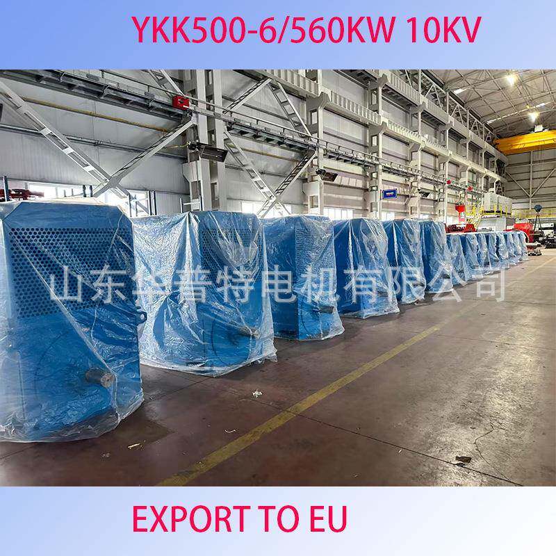 出口高压电机Y500-4/1120W10600V，IC611,IP66