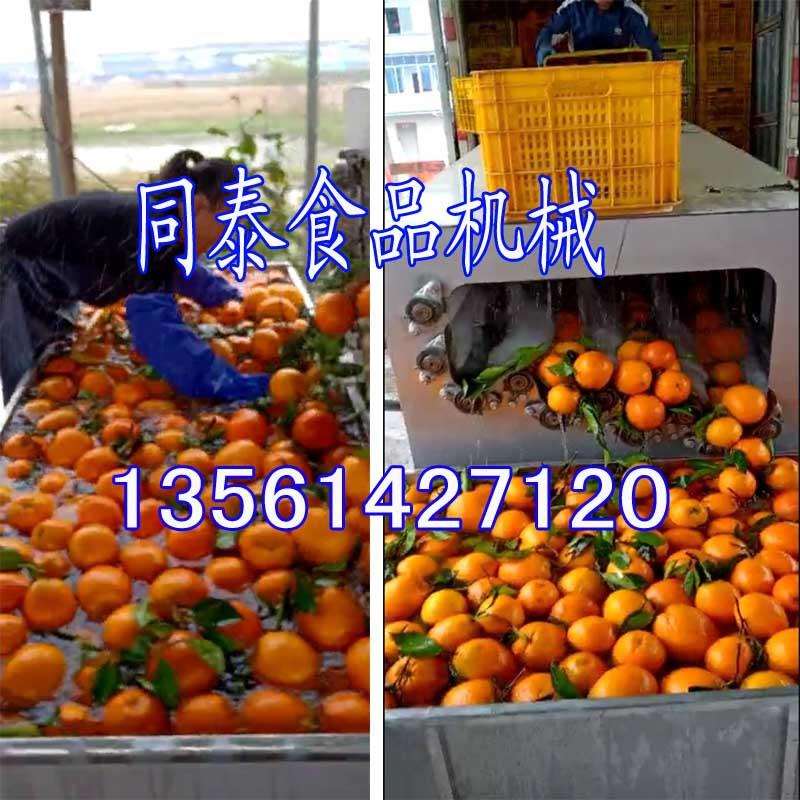 多功能柑橘清洗机 全自动洗白萝卜机器 脐橙柑桔赣橙水洗机抛光机