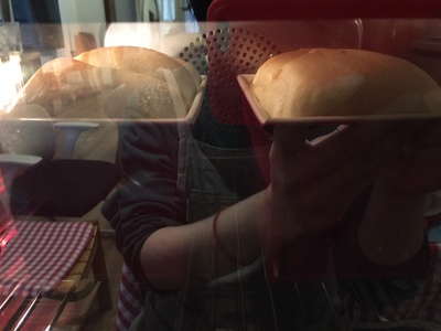 惠而浦蒸烤箱怎么样听说质量差大家敢入手吗？