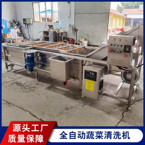 梅菜清洗工西生产线加薄荷叶桑叶DZZ气泡清洗机红柿蔬干菜清洗机