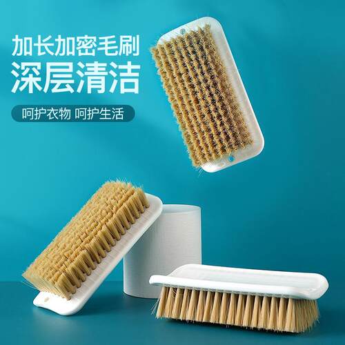 Soft Bristle Household Plastic Shoe Brush, Large Cleaning Br