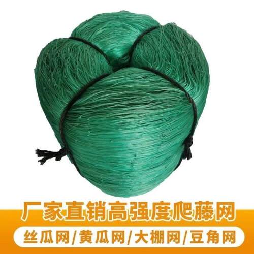 葡萄架爬藤网罗汉果百香果搭架专用网苦瓜丝瓜植物攀爬藤蔓网豆角