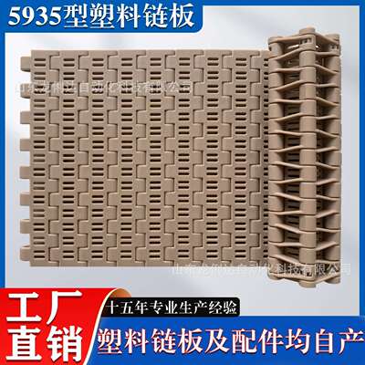 5935网带19.05节距pp食品级pom果蔬清洗输送线专用塑料链板输送带
