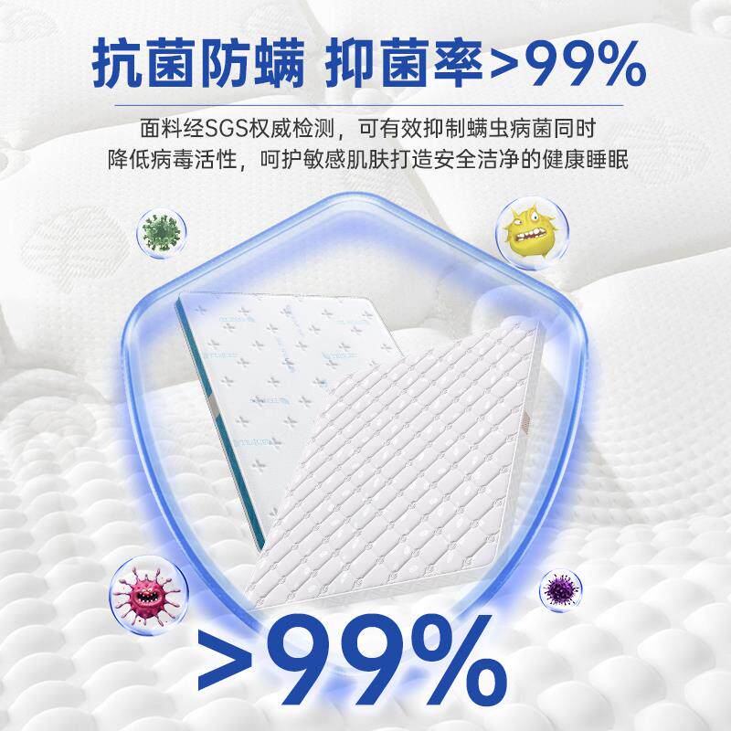 天然椰棕床垫硬垫海马棕榈家用卧室儿童护脊黄麻棕垫1.8m加硬