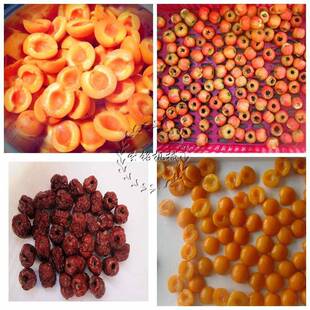 双头苹果梨去芯开瓣机 桃子去核切4半 气动冲压山楂杏子去核机