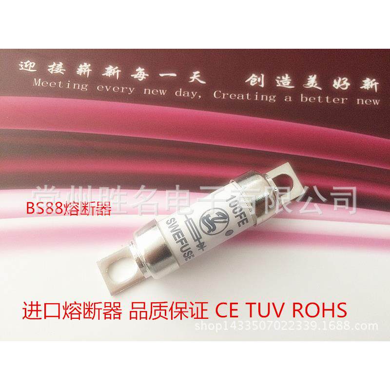 电动汽车保险丝 新能源汽车熔断器250A 直流500V汽车熔断器芯