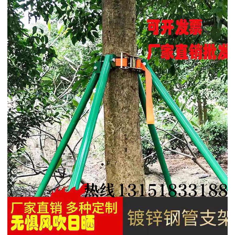 镀锌钢管树木支撑架金属铁抱箍固定器园林绿化防风大树撑杆