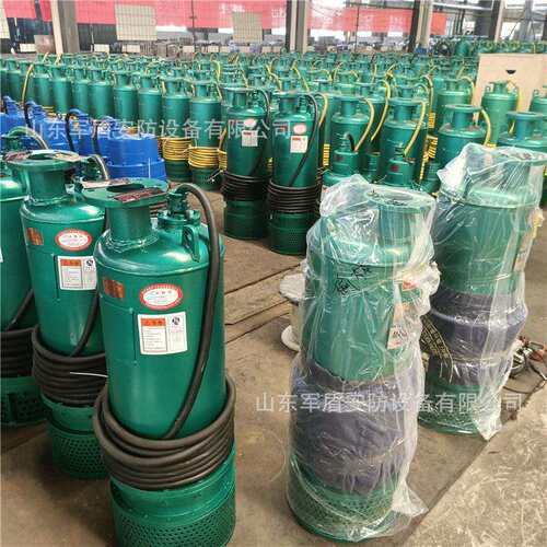 BQS30-150/2-37/N 防爆37KW 1140V BQS矿用隔爆型潜水排沙电泵