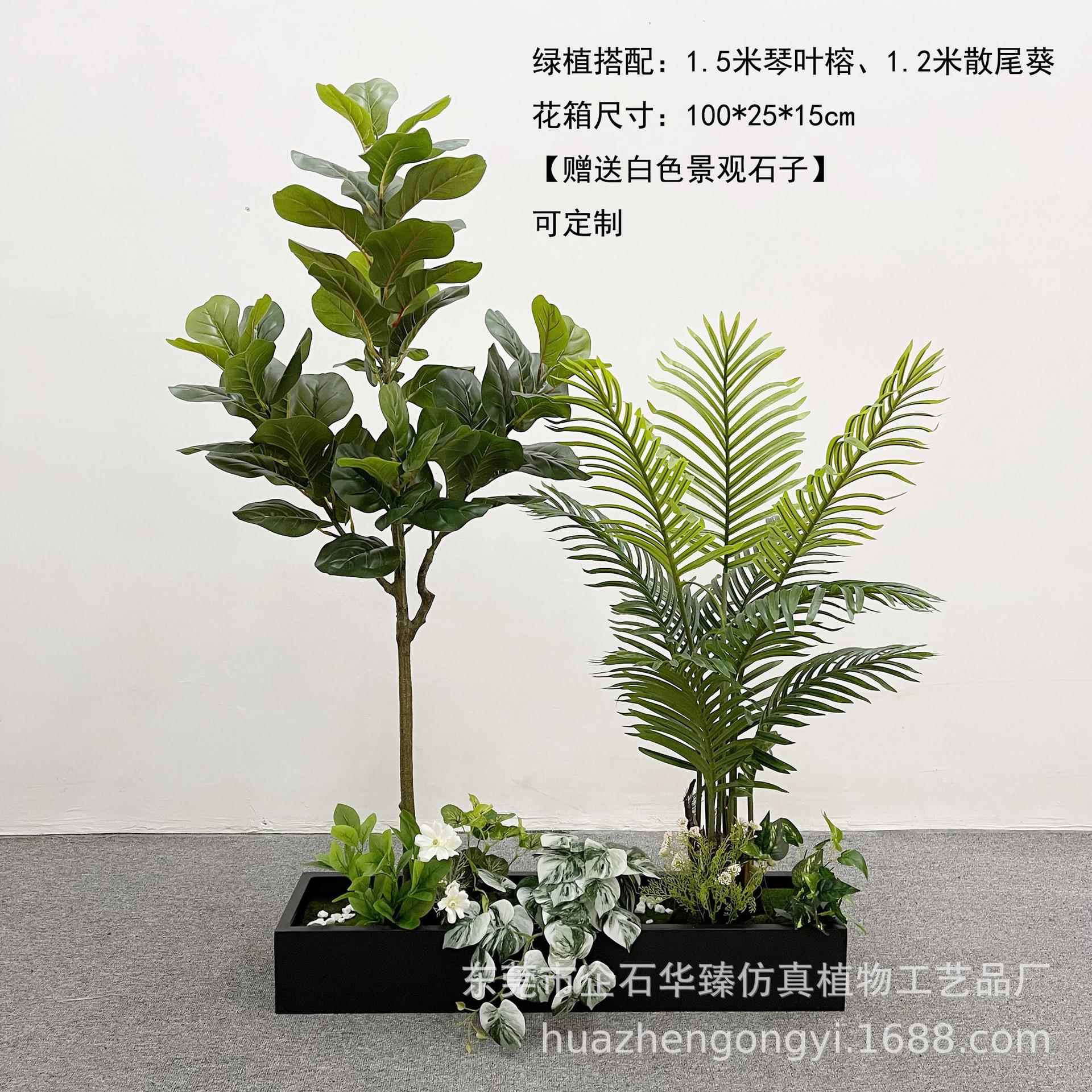 仿HZ01013真植蕨物造地景猴头仿真室植物造景组合家居内落盆栽假