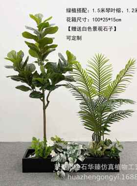 仿HZ01013真植蕨物造地景猴头仿真室植物造景组合家居内落盆栽假