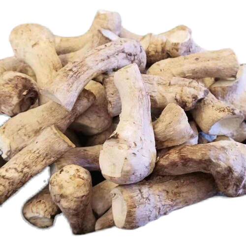 西峡干菇腿小香菇脚双剪抛光无杂质菇脚片丁丝农产品干货1斤包邮