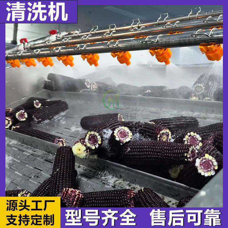 玉米清洗机火龙果苹果油桃清洗机水果蔬菜气泡清洗机